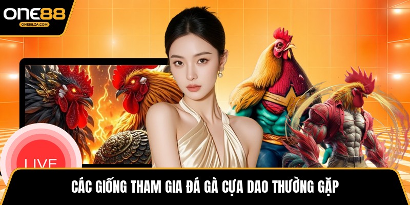 Đá Gà Cựa Dao - Đấu Trường Tốc Độ Mang Hùng Khí 2026 - tavip.buzz