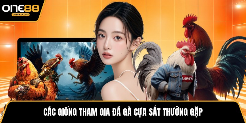 Đá Gà Cựa Sắt - Hùng Trận Tốc Chiến Đầy Khí Phách 2026 - tavip.buzz