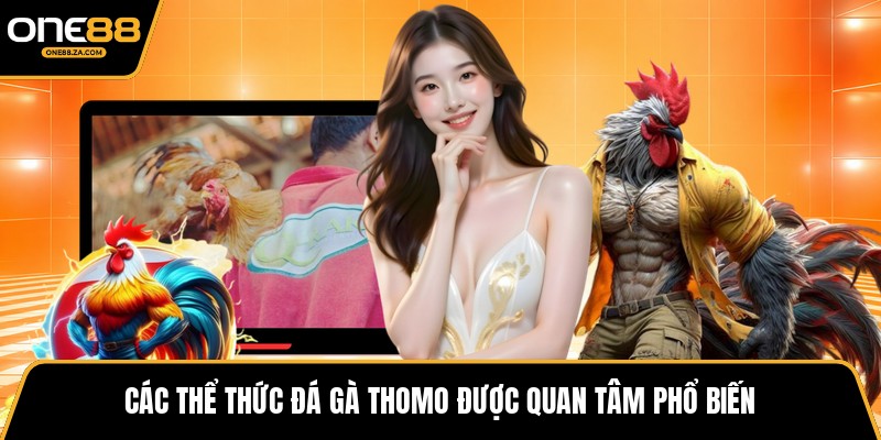 Đá Gà Thomo - Đấu Trường Kịch Tính Giữa Biên Cương - tavip.buzz