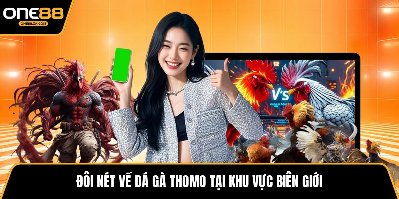 Đá Gà Thomo - Đấu Trường Kịch Tính Giữa Biên Cương - tavip.buzz