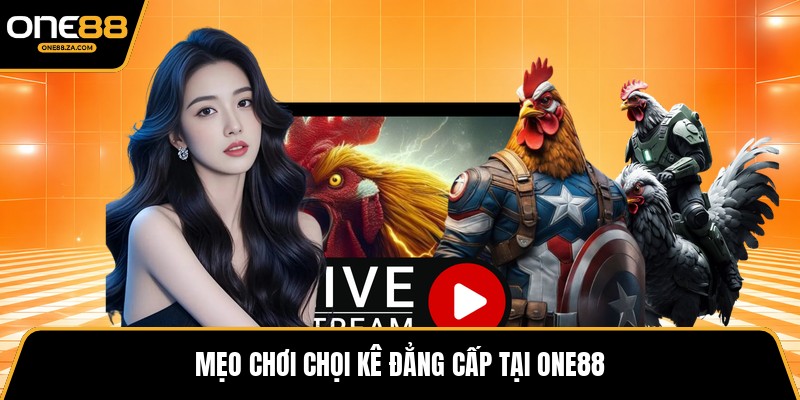Đá Gà ONE88 - Đấu Trường Chiến Kê Bùng Nổ Kịch Tính - tavip.buzz
