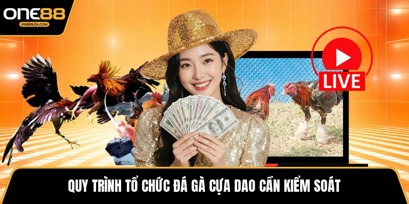 Đá Gà Cựa Dao - Đấu Trường Tốc Độ Mang Hùng Khí 2026 - tavip.buzz